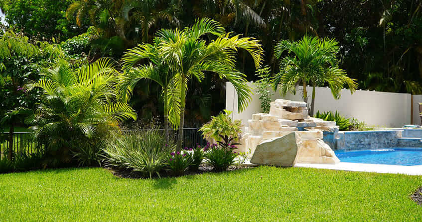 Fort Lauderdale Landscaping