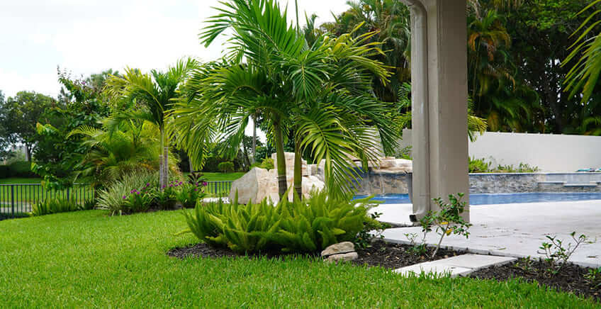 Local Landscaping Services For Pembroke Pines
