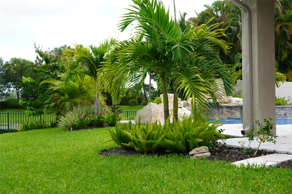 landscape designer in dania beach fl
