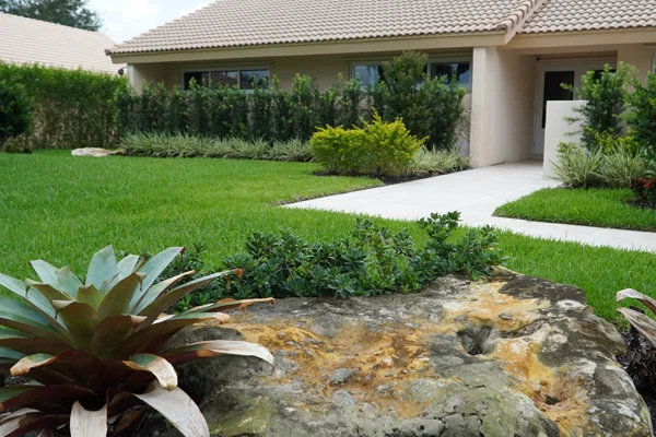 landscape designer in sunrise fl