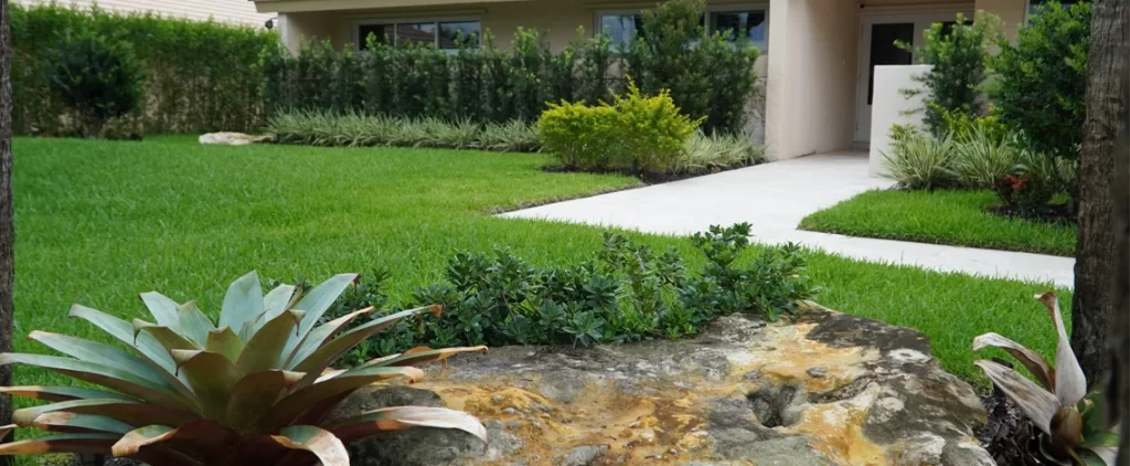 landscape design team in south florida