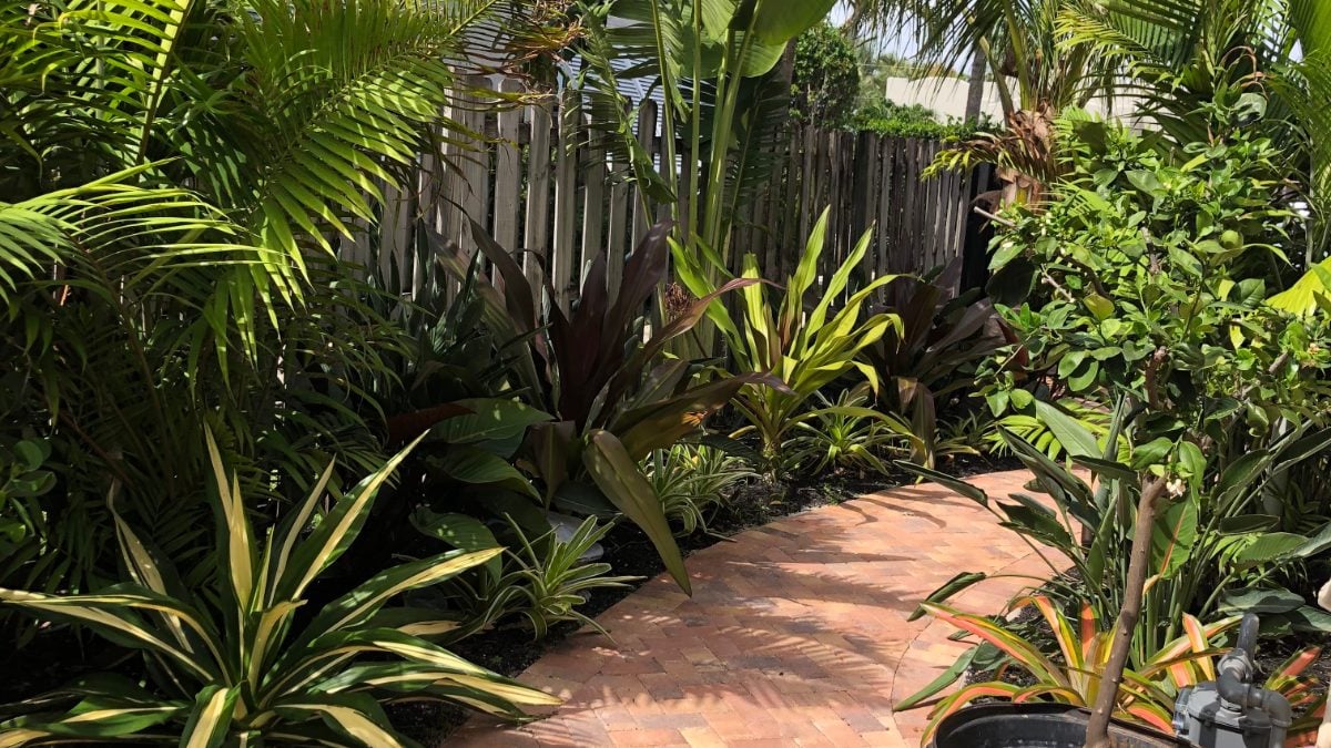 Layered tropical planting bed along a paver path in a Fort Lauderdale backyard