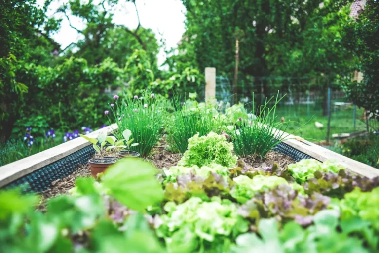 Seasonal color plantings in raised garden beds maintained by TotalScape Design